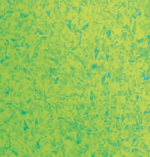 Ragging Roller Texture Tool - Image 3